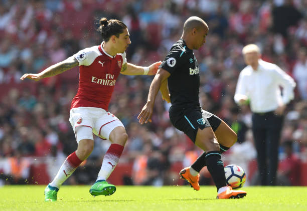 仅是一种生 仅是一种生