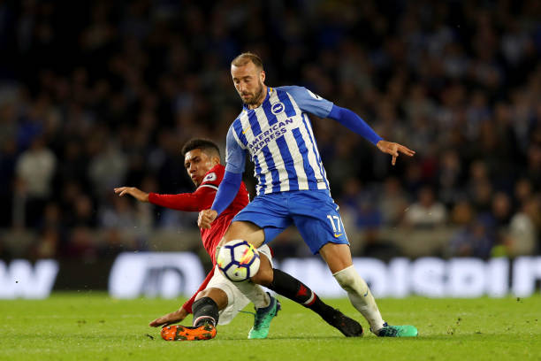 与黄蜂协议 与黄蜂协议