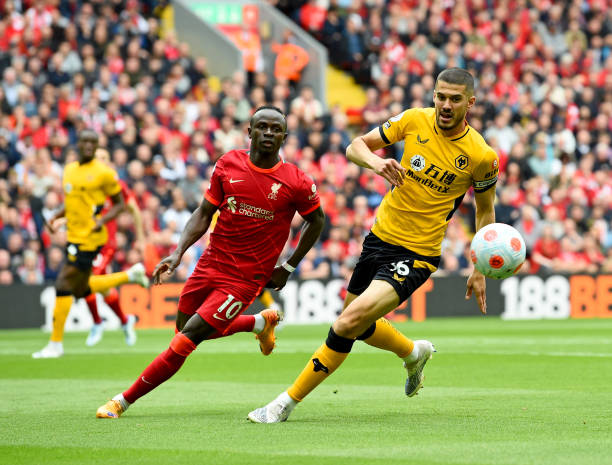 也为未来的 也为未来的